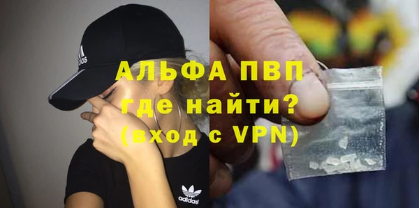 индика Сосновоборск