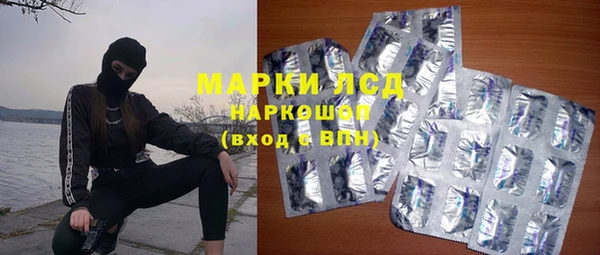 ПСИЛОЦИБИНОВЫЕ ГРИБЫ Баксан