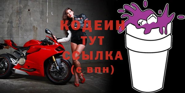 индика Сосновоборск