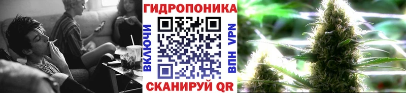 закладка  Котовск  OMG онион  МАРИХУАНА план 